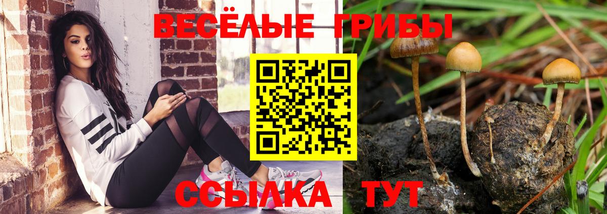 Галлюциногенные грибы прущие грибы Улан-Удэ